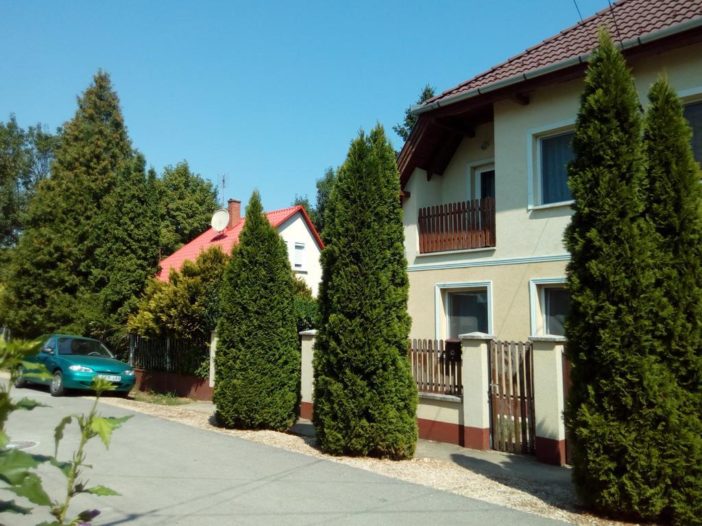 Eva Vendeghaz Guesthouse Hajdúszoboszló Exterior foto